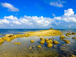 Biscayne National Park rocky shores