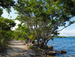 Biscayne National Park shoreline trail