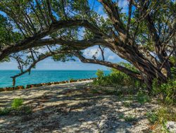 Shaded coastline in Biscayne National Park