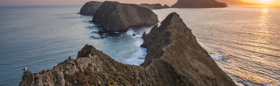 Featured image for Channel Islands National Park