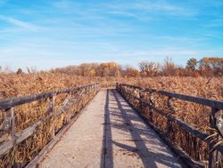 Danube Auen National Park board trail during fall