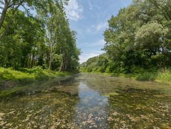 Danube Auen National Park river