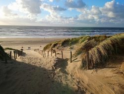 Dunes of Texel National Park shoreline dunes