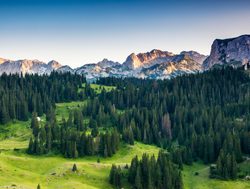 Durmitor National Park forested landscape