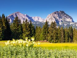 Durmitor National Park valley landscape