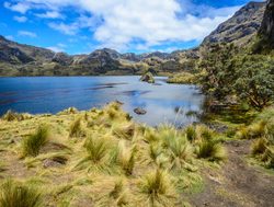 Toreadora Lake in El Cajas National Park Ecuador