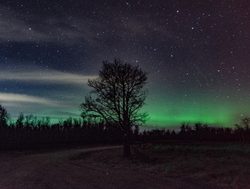 Elk Island National Park aurora borealis