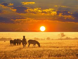 Etosha National Park sunset on plains