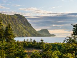 Forillon National Park forested shoreline