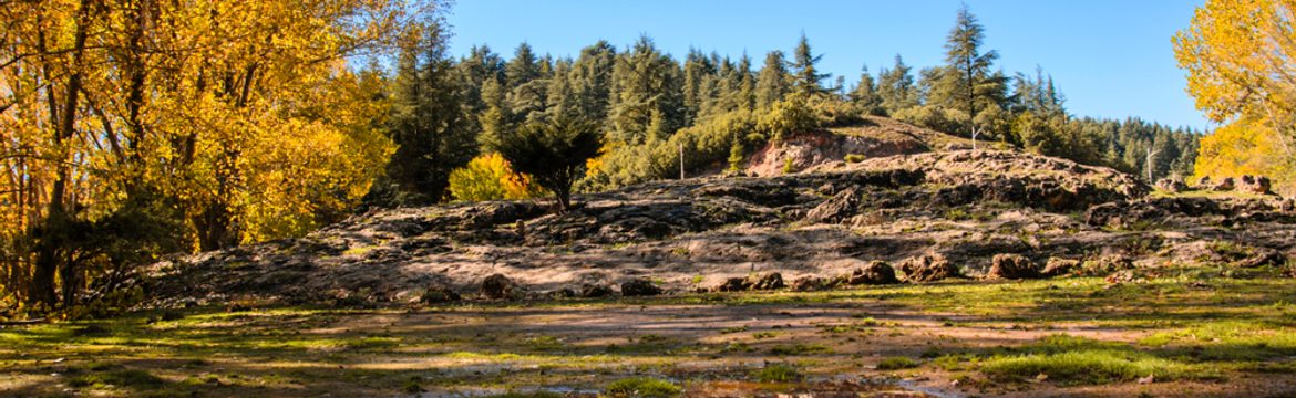 Featured image for Ifrane National Park