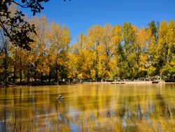 Ifrane National Park pond and reflection