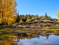 Ifrane National Park