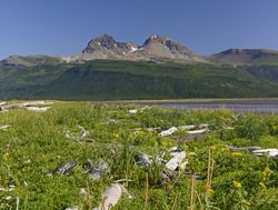 Katmai National Park landscape