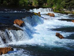 Katmai