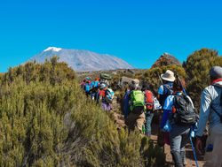 Mount Kilimanjaro National Park hiking to Kibo