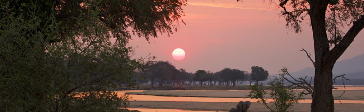 Featured image for Mana Pools National Park