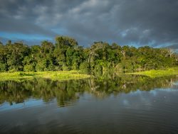 Manu National Park Amazon River and forest