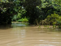 Mole National Park river