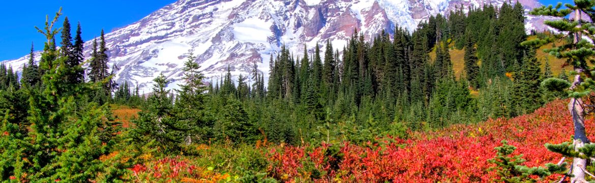 Featured image for Mount Rainier National Park
