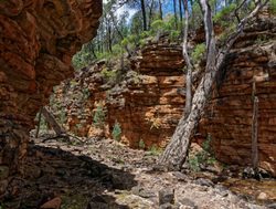 Mount Remarkable National Park arid canyon