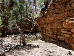 Mount Remarkable ravine