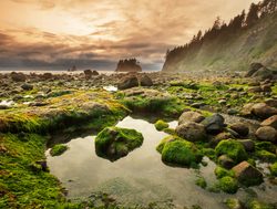 Mount Olympic National Park rocky beach