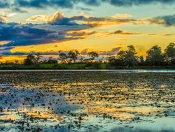 Pantanal Matogrossense National Park sun setting