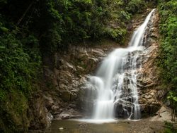 Podocarpus National Park waterfall