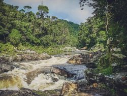 Ranomafana National Park river