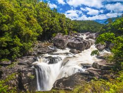 Ranomafana National Park