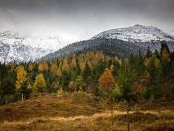 Rodna National Park fall foliage in Romania
