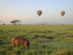 Serengeti National Park ballooning