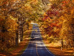 Shenandoah National Park fall foliage