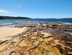 Sydney Harbor National Park beach and shoreline
