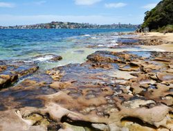 Sydney Harbor National Park rocky beach