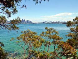 Sydney Harbor National Park with sydney bridge