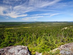 Terra Nova National Park ochre hill