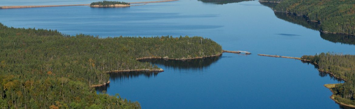 Featured image for Terra Nova National Park