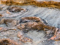 Torotoro National Park dinosaur footprints
