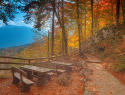 Triglav National Park picnic area in fall foliage