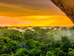 Tumucumaque National Park amazon rainforest sunset